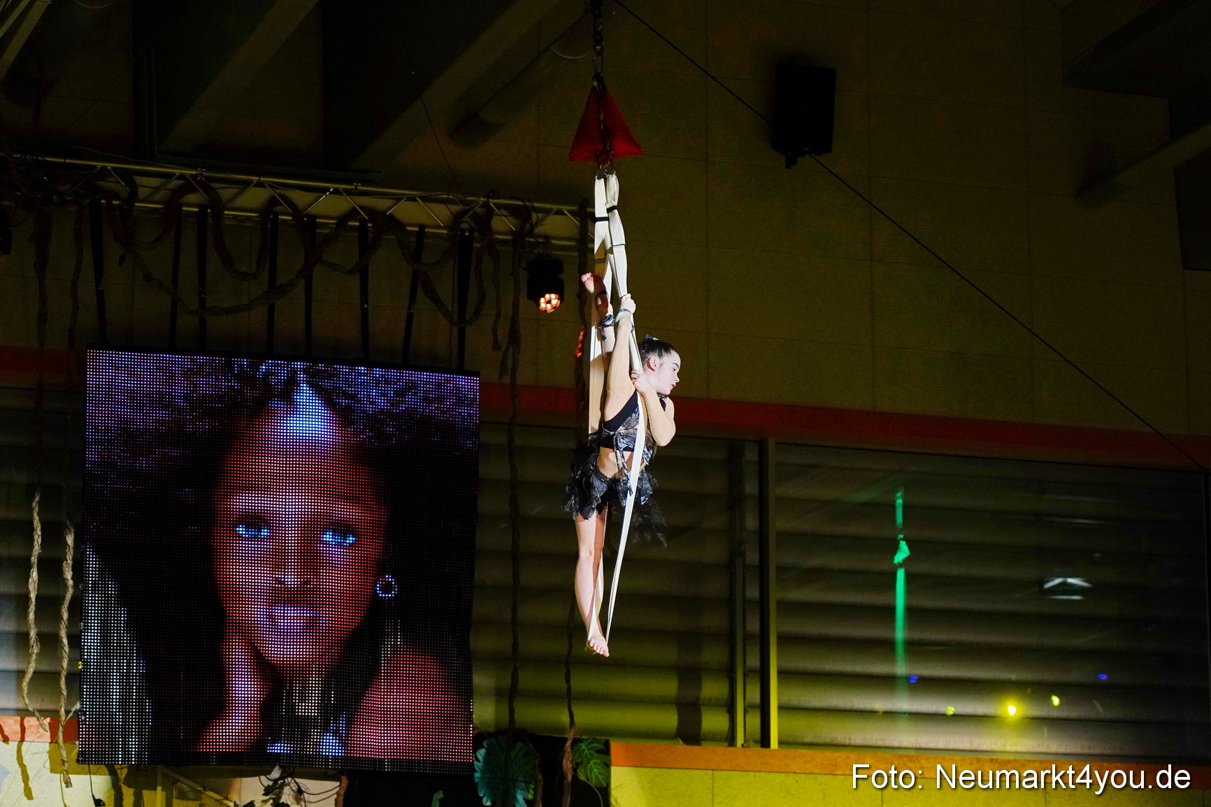 Artico Artistical Dschungelbuch 2020 0170